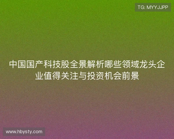 中国国产科技股全景解析哪些领域龙头企业值得关注与投资机会前景